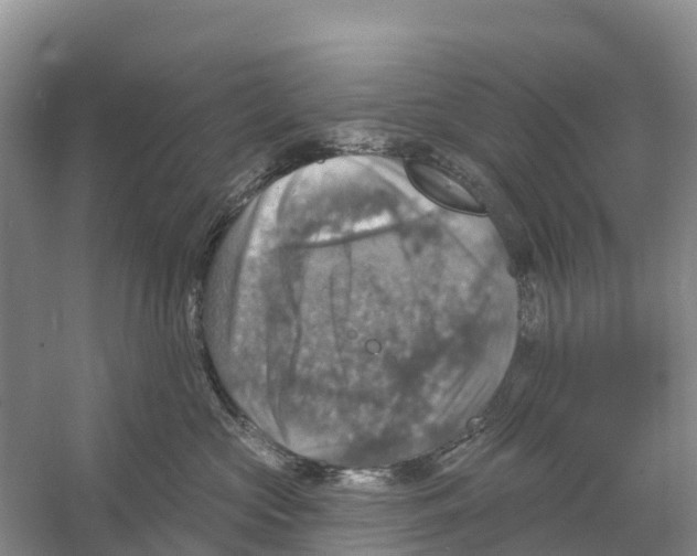X0000058790573200510282040