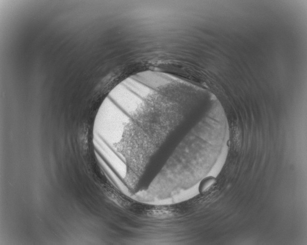 X0000058790668200510282039