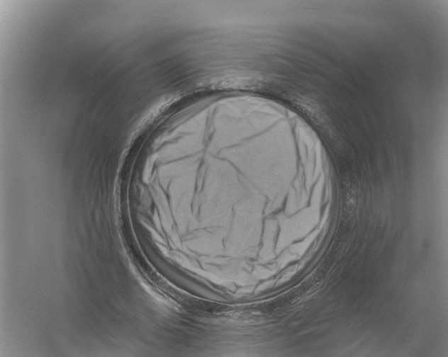 X0000058790678200510282038