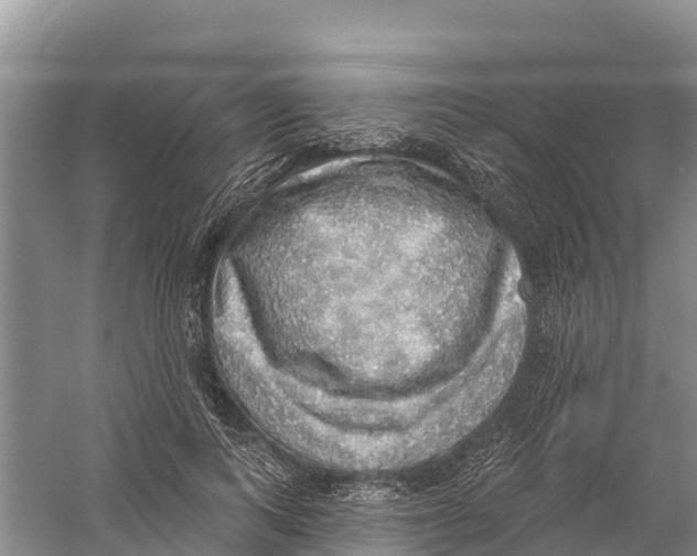 X0000058790743200510282037