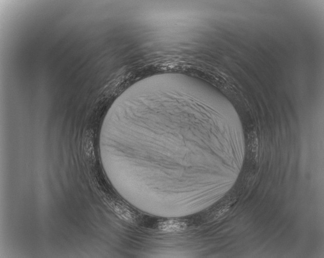 X0000058790754200510282037