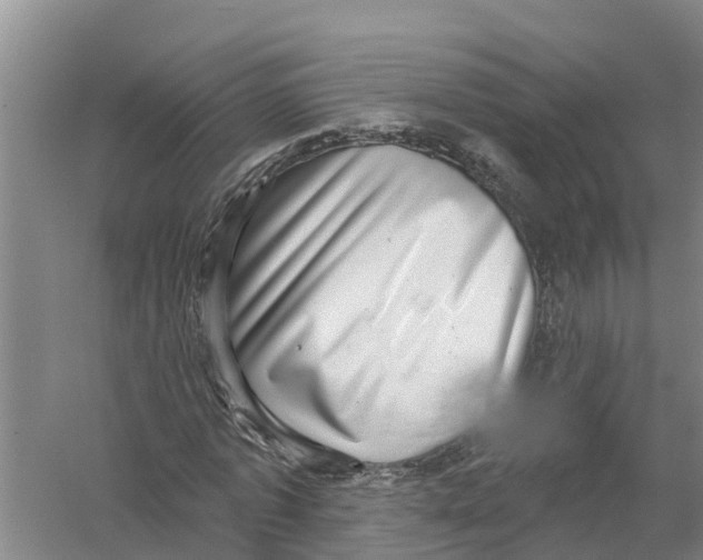 X0000058790773200510282036