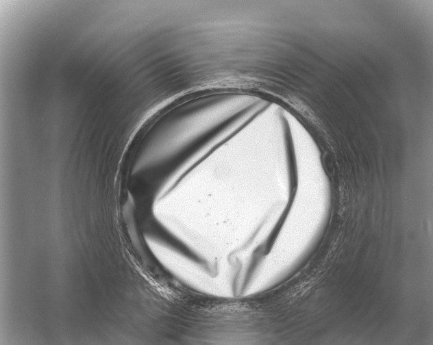 X0000058790838200510282035