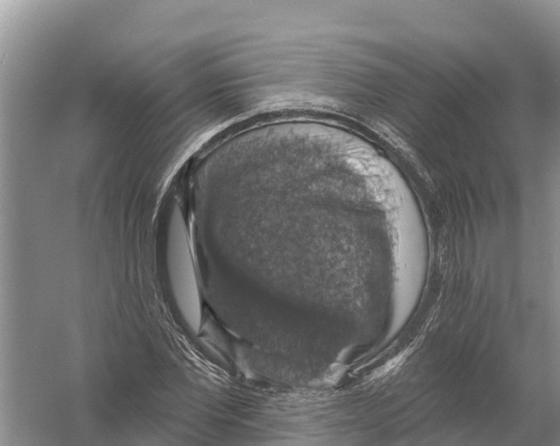X0000058790877200510282034