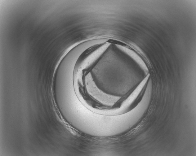 X0000058790956200510282034