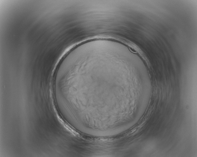 X0000058790958200510282034