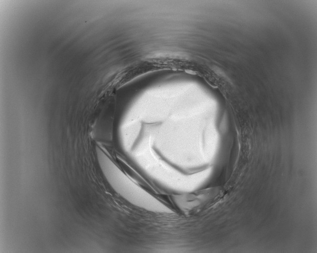 X0000058790965200510282033