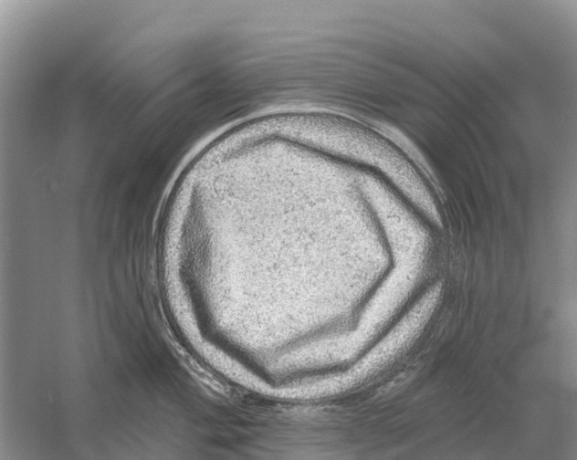 X0000058791004200510282032