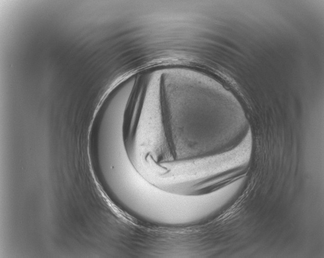X0000058791034200510282032