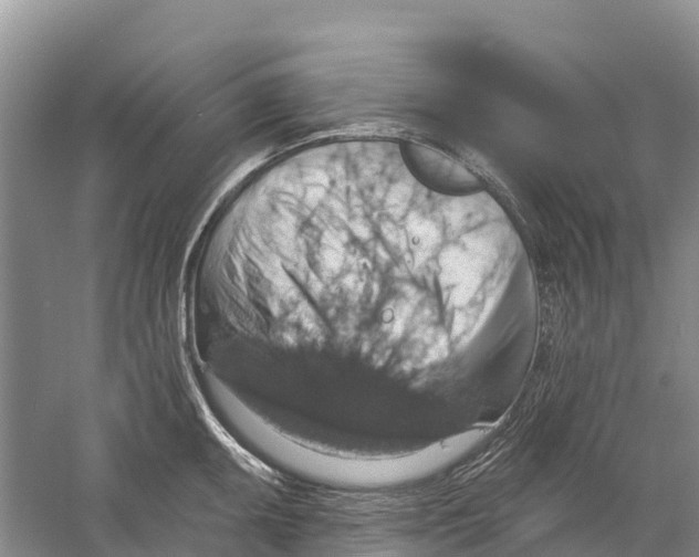 X0000058791095200510282031