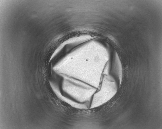 X0000058791111200510282030