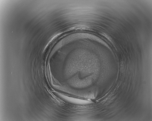 X0000058791115200510282030