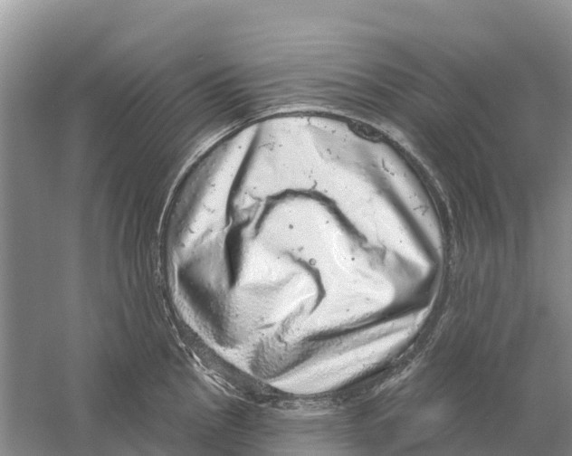 X0000058791145200510282030
