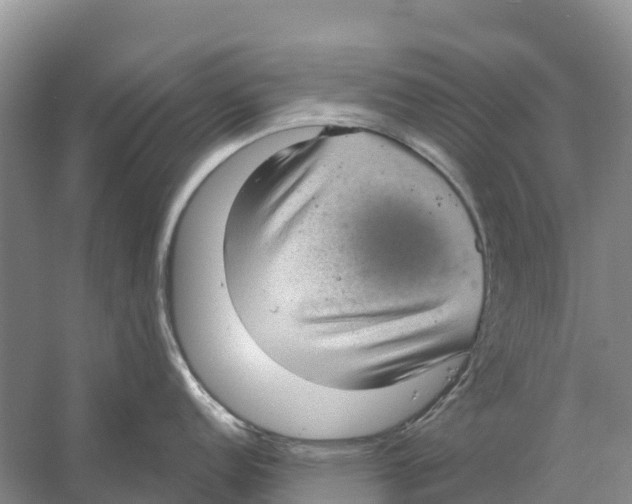X0000058791152200510282030
