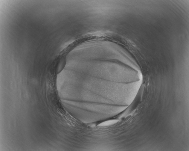 X0000058791158200510282030