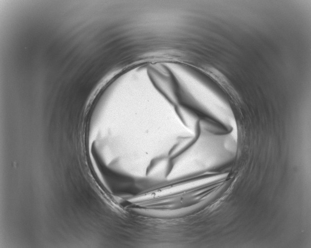 X0000058791196200510282029