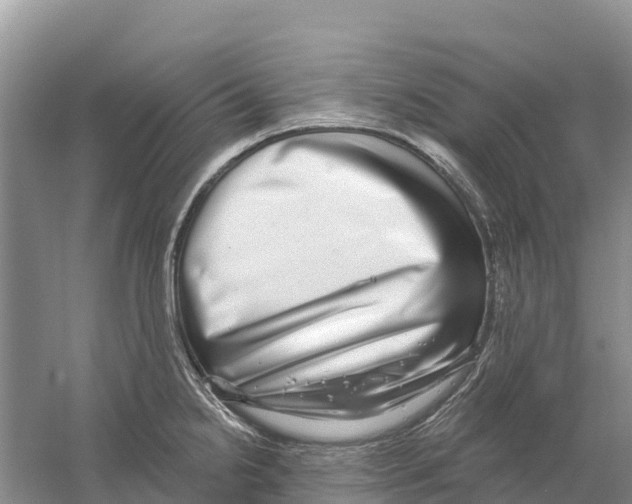 X0000058791238200510282029