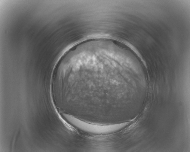 X0000058791245200510282029