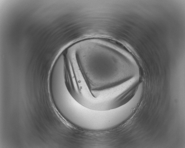 X0000058791246200510282029
