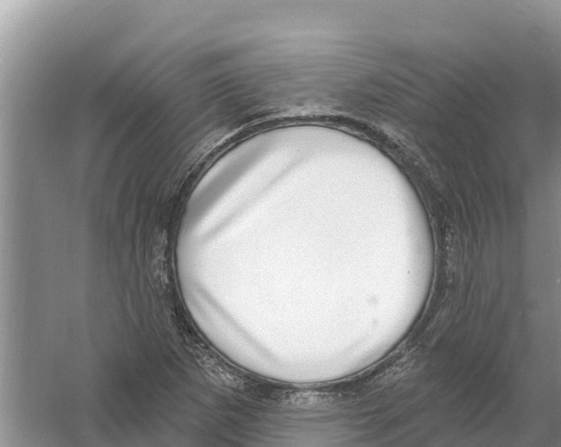 X0000058791265200510282028