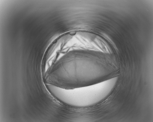 X0000058791291200510282027