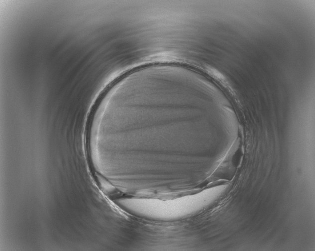 X0000058791334200510282027