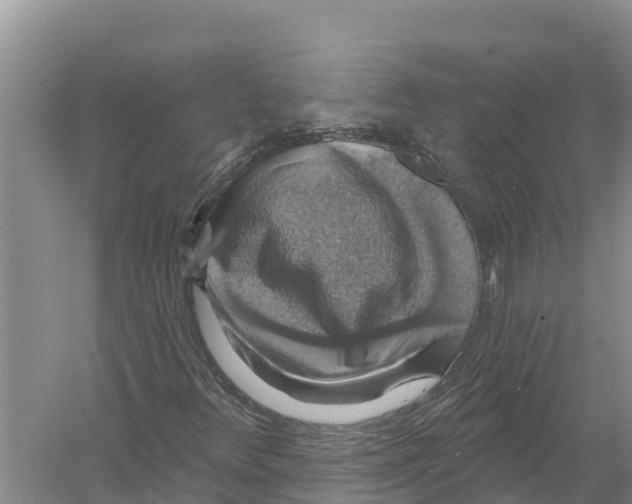 X0000058791348200510282026