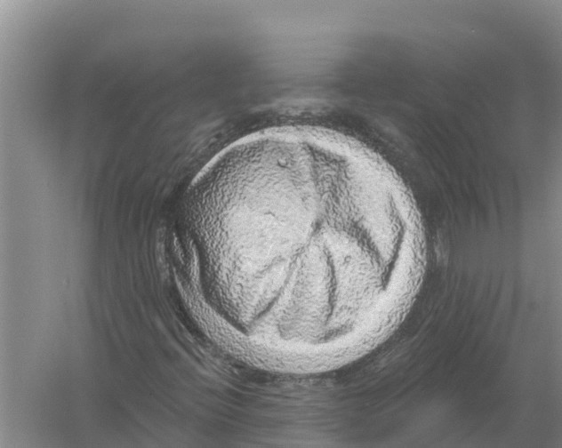 X0000058791396200510282025