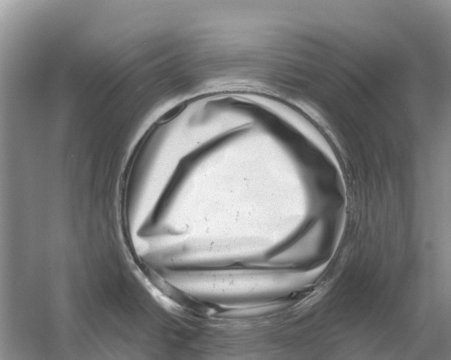 X0000058791438200510282026