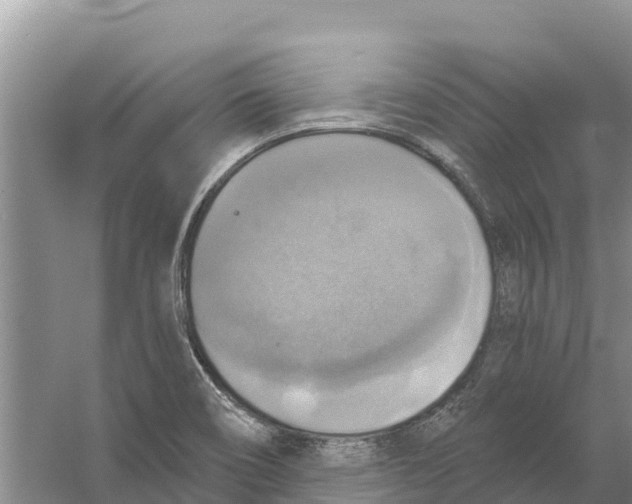 X0000058791466200510282024