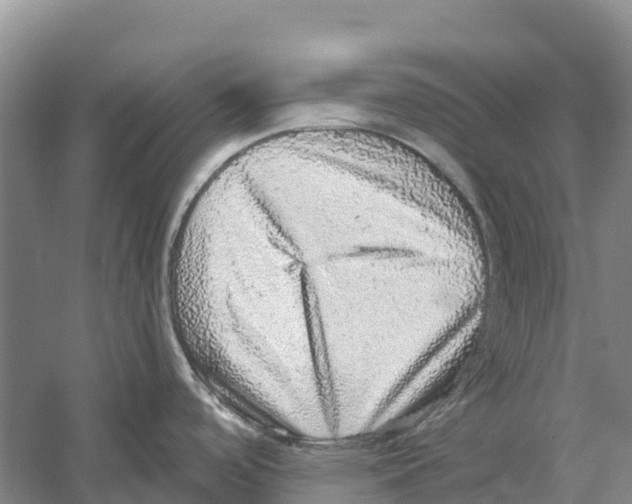 X0000058791488200510282024