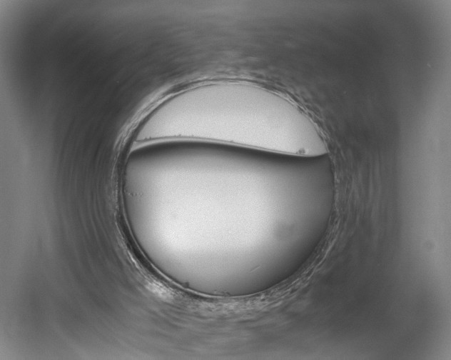 X0000058800005200509300926