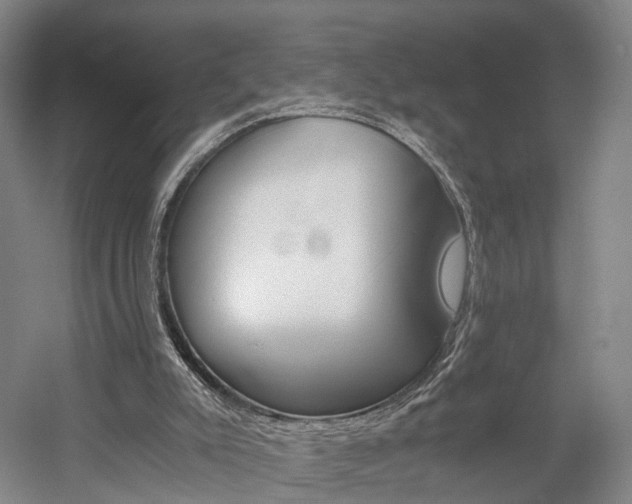 X0000058800007200509300926
