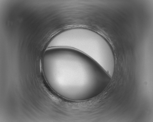 X0000058800013200509300926