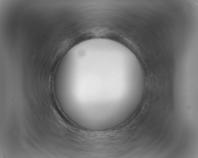X0000058800018200509300926