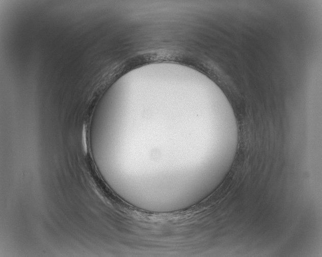 X0000058800022200509300926