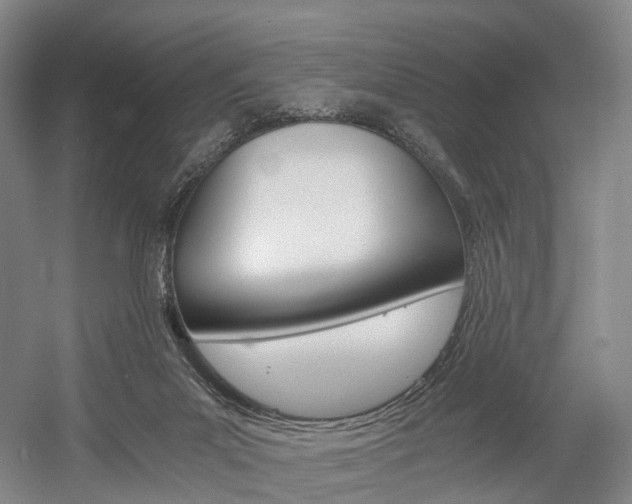 X0000058800023200509300926