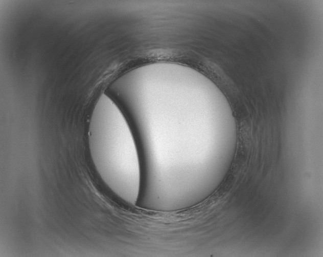 X0000058800024200509300926