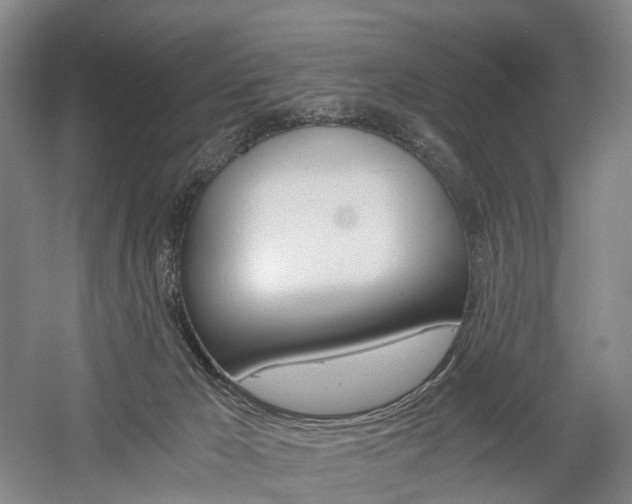 X0000058800029200509300926