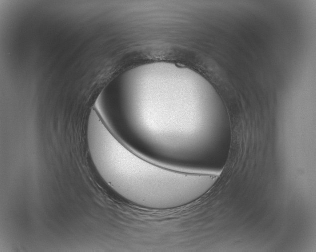 X0000058800031200509300926