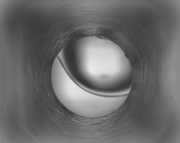 X0000058800035200509300926