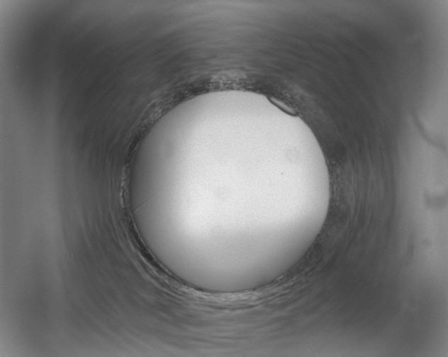 X0000058800038200509300926