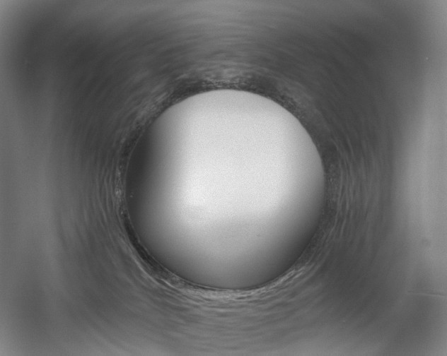 X0000058800040200509300925