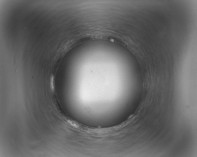 X0000058800041200509300925