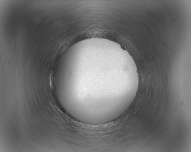 X0000058800042200509300925