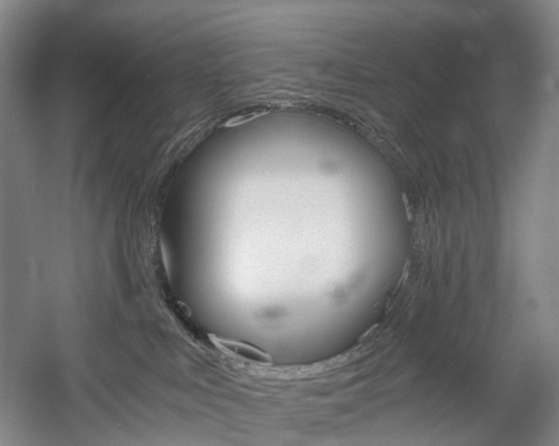 X0000058800043200509300925