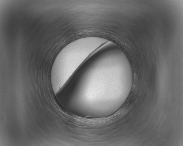 X0000058800048200509300925