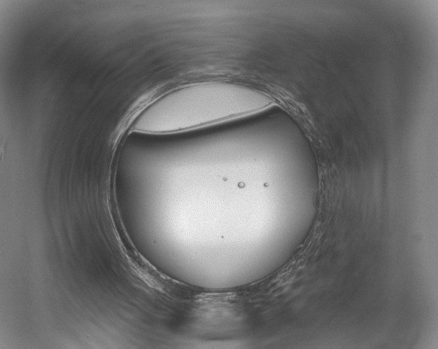 X0000058800051200509300925
