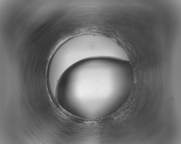 X0000058800052200509300925