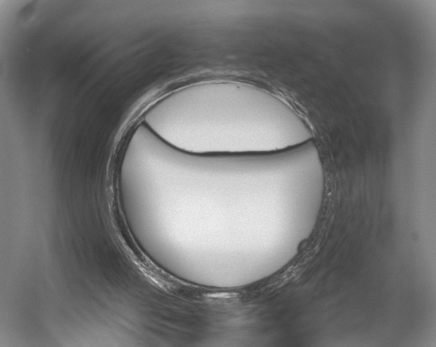 X0000058800053200509300925